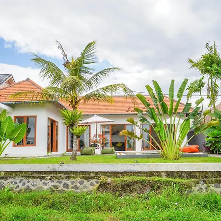 Villa Sawah Ramah-2